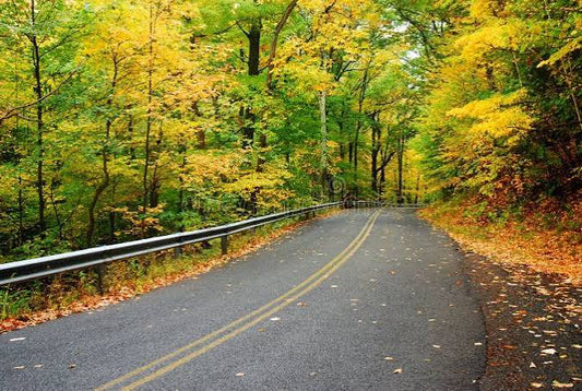 New England fall foliage in Connecticut, representing statewide roadway and pedestrian safety
